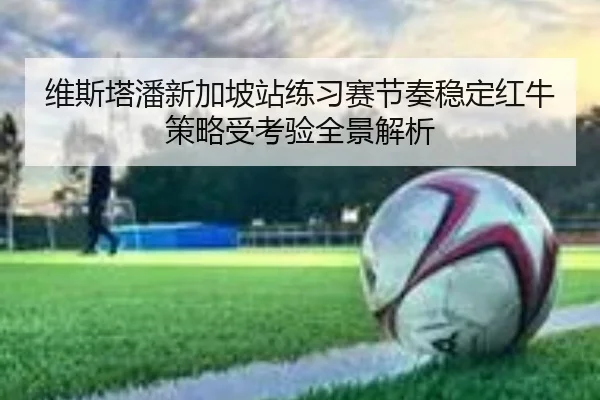 维斯塔潘新加坡站练习赛节奏稳定红牛策略受考验全景解析
