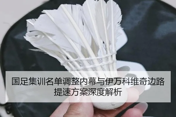 国足集训名单调整内幕与伊万科维奇边路提速方案深度解析