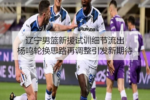 辽宁男篮新援试训细节流出 杨鸣轮换思路再调整引发新期待